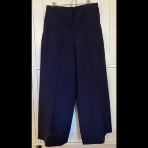 COS Navy Wide Leg High waisted Pant size 8 Worn once